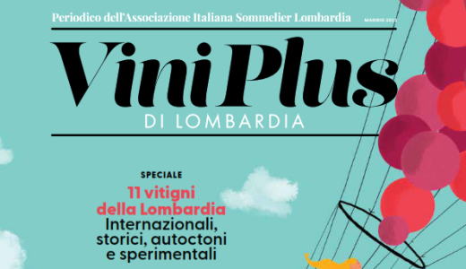 Terre Lombarde - Milano Pavia TV